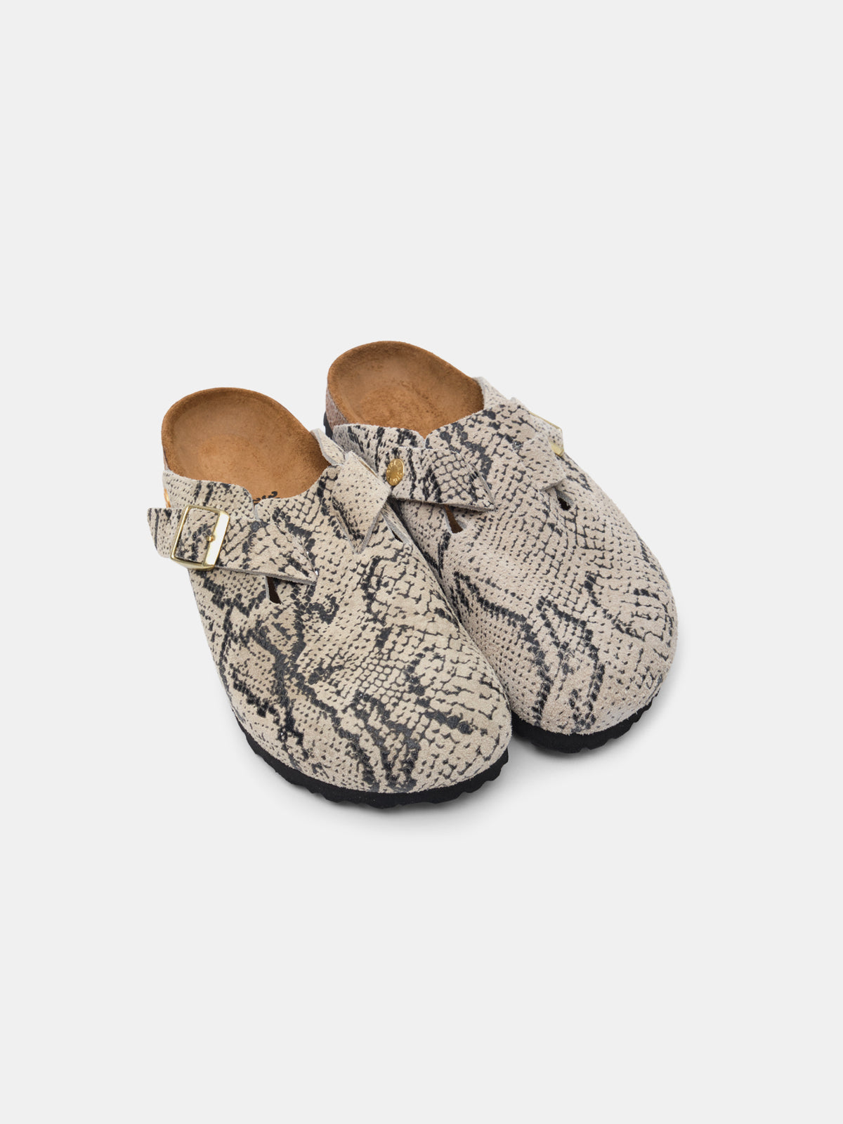 boston snake oyster 1033086- SNK BIRKENSTOCK 