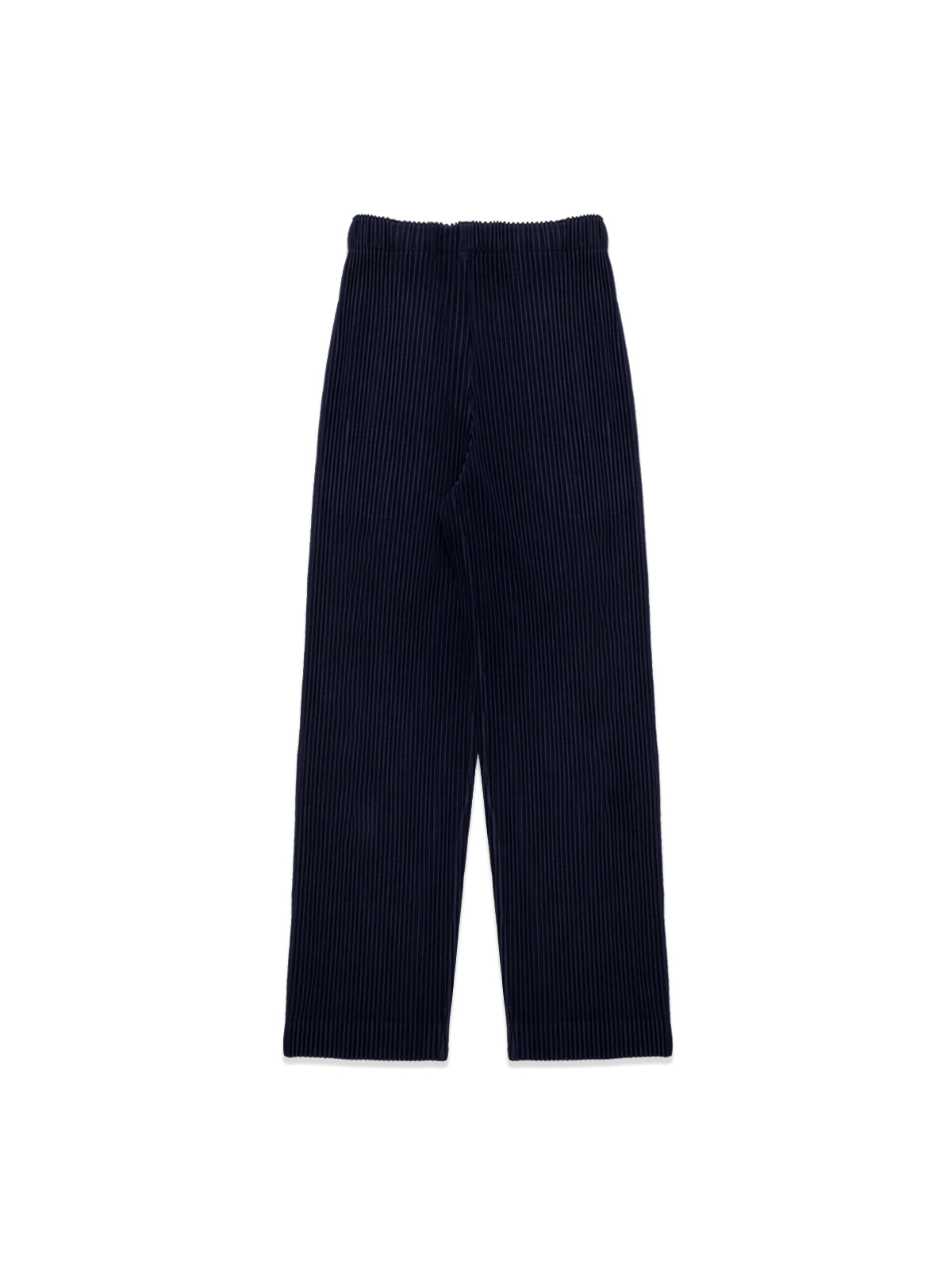 basics: pants 75 HP68JF550- 75 HOMME PLISSÉ ISSEY MIYAKE 