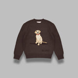 the ragdoll jumper VOL2669- TB HOUSE OF SUNNY 