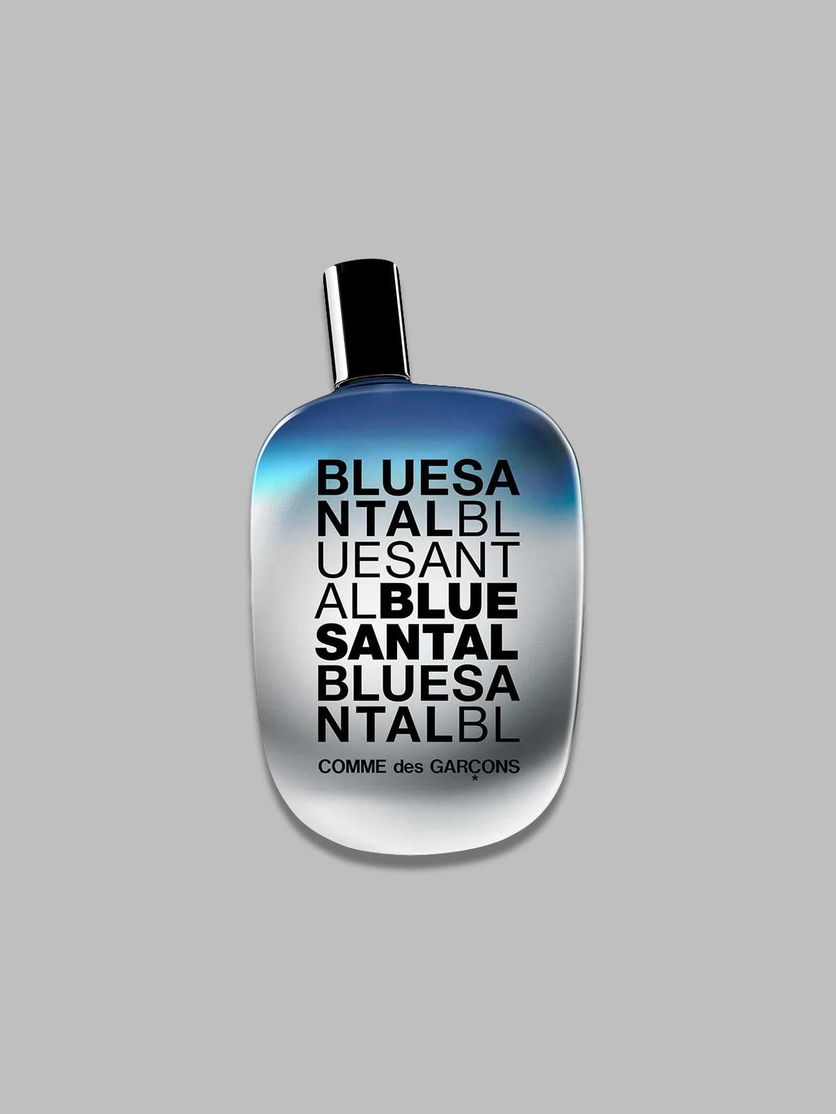 COMME DES GARÇONS PARFUMS 65084891100ML